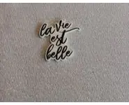 Aimant aiguille la vie est belle