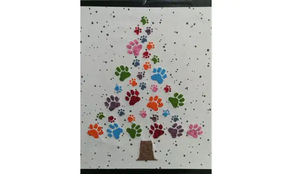 Grand sapin patounes fiche