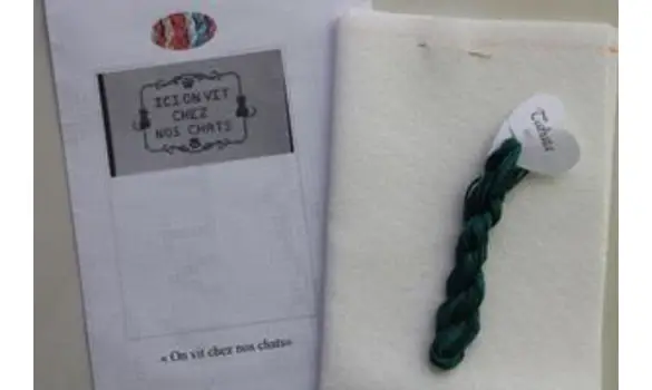 Kit ici on vit chez nos chats