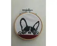 Fiche chien mini bouledogue