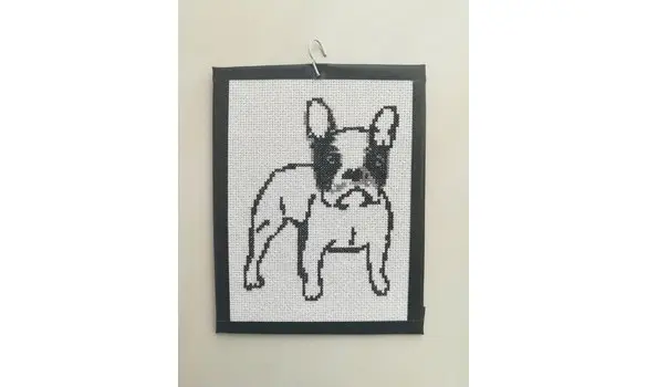 fiche chien bouledogue